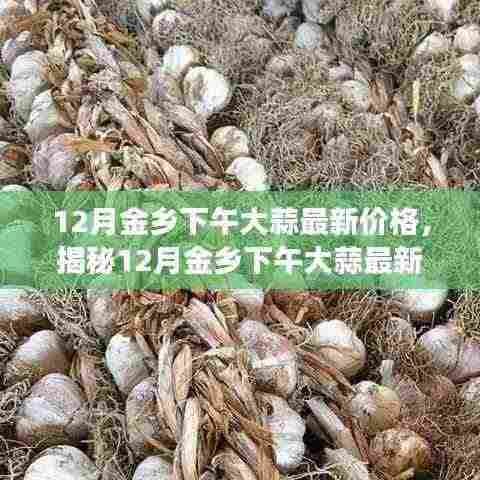 揭秘,12月金乡下午大蒜最新价格及市场走势与影响因素探究