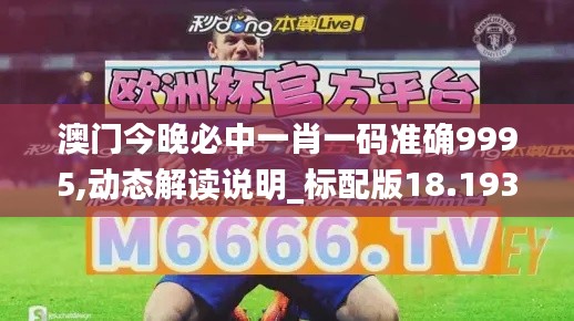 澳门今晚必中一肖一码准确9995,动态解读说明_标配版18.193