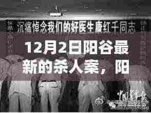 阳谷最新杀人案详解,应对与防范指南(初学者与进阶用户必备)