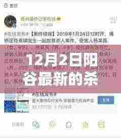 阳谷最新杀人案详解,应对与防范指南(初学者与进阶用户必备)