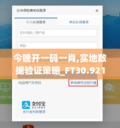 今晚开一码一肖,实地数据验证策略_FT30.921