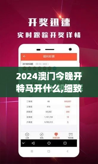 2024澳门今晚开特马开什么,细致研究解析方案_任意版64.857