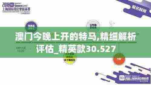澳门今晚上开的特马,精细解析评估_精英款30.527