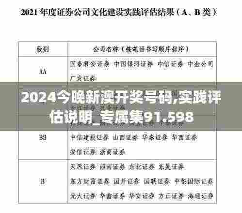 2024今晚新澳开奖号码,实践评估说明_专属集91.598