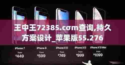 王中王72385.cσm查询,持久方案设计_苹果版55.276