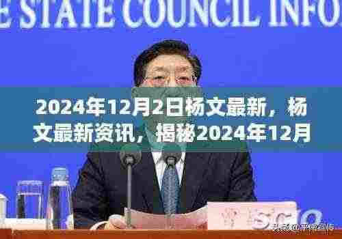 揭秘杨文新动向，2024年12月2日最新资讯与动向曝光