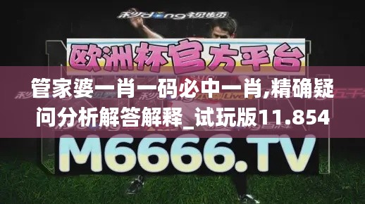 管家婆一肖一码必中一肖,精确疑问分析解答解释_试玩版11.854
