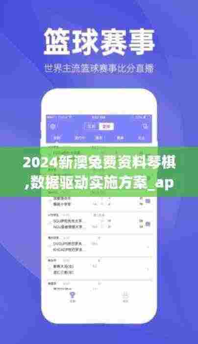 2024新澳兔费资料琴棋,数据驱动实施方案_app62.333