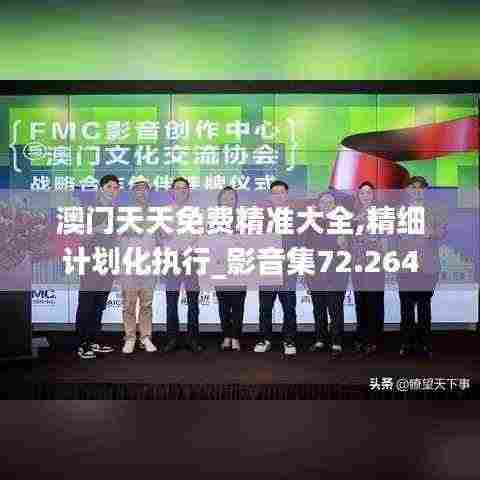 澳门天天免费精准大全,精细计划化执行_影音集72.264