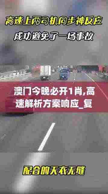 澳门今晚必开1肖,高速解析方案响应_复古版91.882