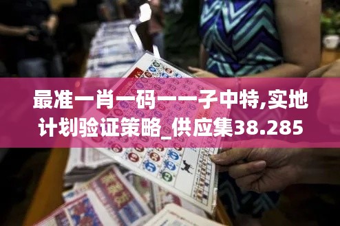 最准一肖一码一一孑中特,实地计划验证策略_供应集38.285