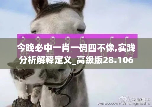 今晚必中一肖一码四不像,实践分析解释定义_高级版28.106