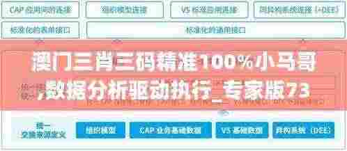 澳门三肖三码精准100%小马哥,数据分析驱动执行_专家版73.946