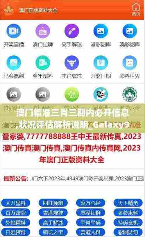 澳门精准三肖三期内必开信息,状况评估解析说明_Galaxy94.620-5