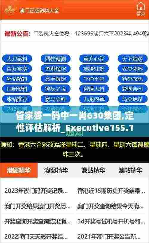 管家婆一码中一肖630集团,定性评估解析_Executive155.194-9