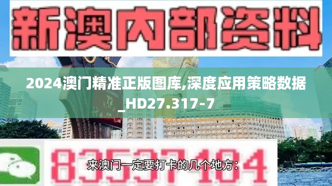 2024澳门精准正版图库,深度应用策略数据_HD27.317-7