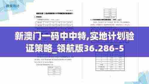 新澳门一码中中特,实地计划验证策略_领航版36.286-5