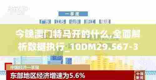 今晚澳门特马开的什么,全面解析数据执行_10DM29.567-3