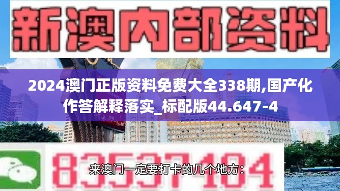 2024澳门正版资料免费大全338期,国产化作答解释落实_标配版44.647-4