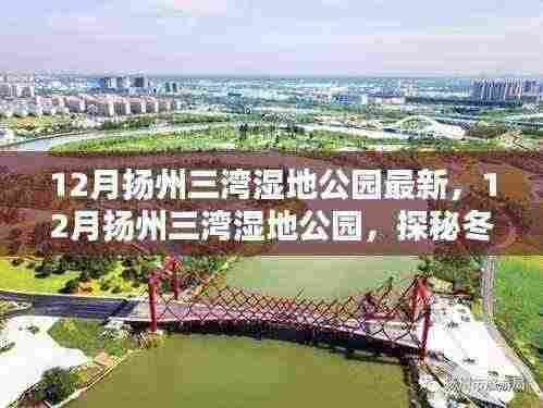 探秘扬州三湾湿地公园冬日的生态绿洲之美，最新十二月游览指南