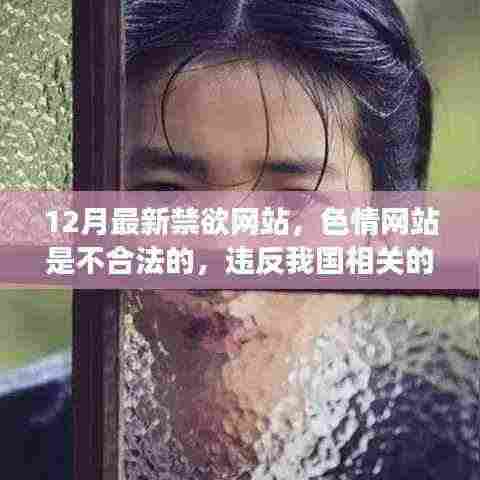 远离色情网站，寻找健康娱乐方式，正规平台与文化活动推荐