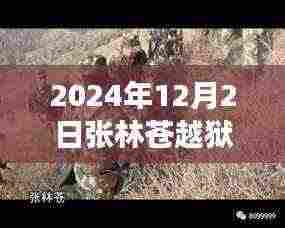 飞箭如蝗 第5页