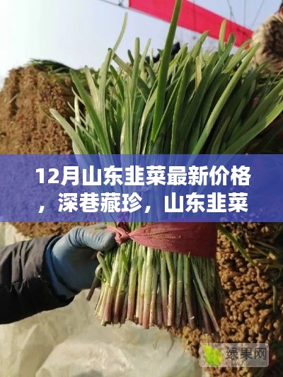 山东韭菜冬季最新价格揭秘，深巷美食带你解锁冬日美味新篇章！