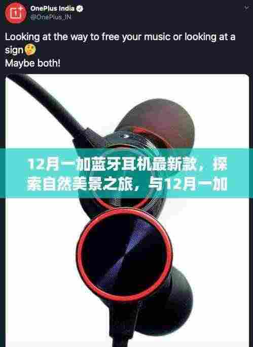 探索自然美景之旅,与最新款一加蓝牙耳机共舞宁静时光