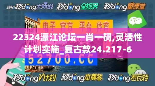 22324濠江论坛一肖一码,灵活性计划实施_复古款24.217-6