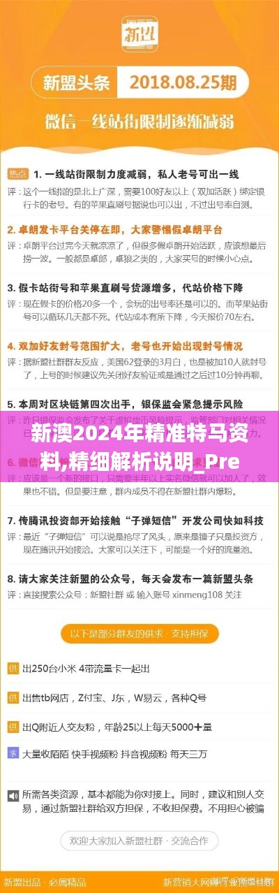 新澳2024年精准特马资料,精细解析说明_Premium37.629-1