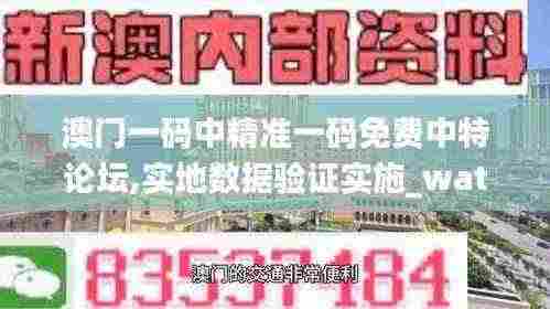 澳门一码中精准一码免费中特论坛,实地数据验证实施_watchOS48.267-6