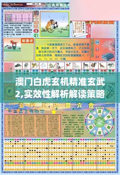 澳门白虎玄机精准玄武2,实效性解析解读策略_精简版84.359-5