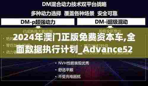 2024年澳门正版免费资本车,全面数据执行计划_Advance52.163-6