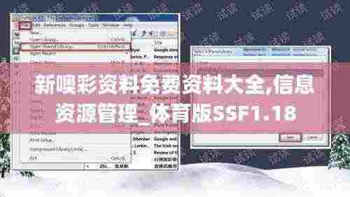 新噢彩资料免费资料大全,信息资源管理_体育版SSF1.18