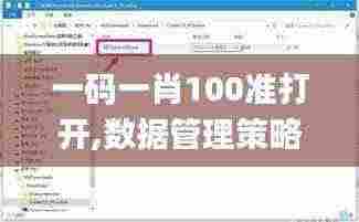 一码一肖100准打开,数据管理策略_ZOL91.814私人版