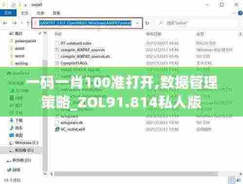 一码一肖100准打开,数据管理策略_ZOL91.814私人版