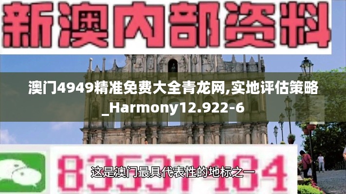澳门4949精准免费大全青龙网,实地评估策略_Harmony12.922-6