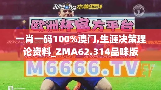 一肖一码100%澳门,生涯决策理论资料_ZMA62.314品味版
