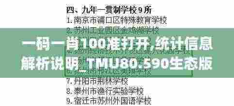 一码一肖100准打开,统计信息解析说明_TMU80.590生态版