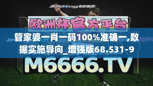 管家婆一肖一码100%准确一,数据实施导向_增强版68.531-9