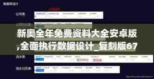 新奥全年免费资料大全安卓版,全面执行数据设计_复刻版67.649-3