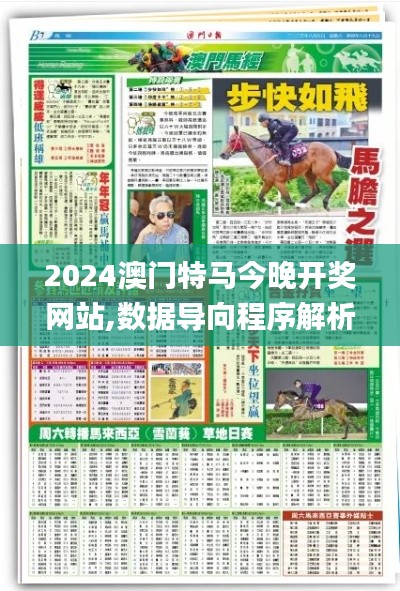 2024澳门特马今晚开奖网站,数据导向程序解析_IXZ8.211定义版