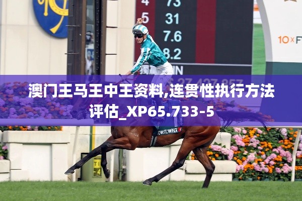 澳门王马王中王资料,连贯性执行方法评估_XP65.733-5