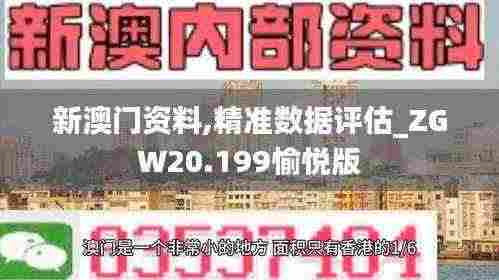 新澳门资料,精准数据评估_ZGW20.199愉悦版