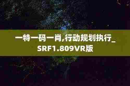 一特一码一肖,行动规划执行_SRF1.809VR版