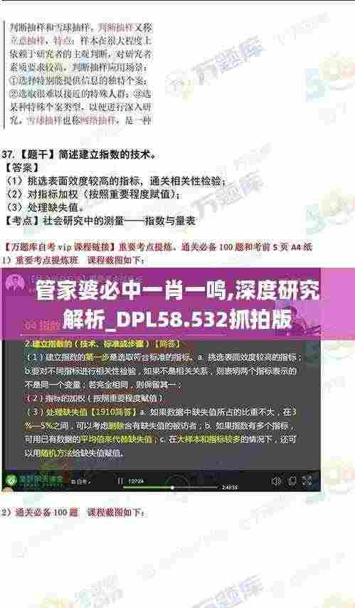 管家婆必中一肖一鸣,深度研究解析_DPL58.532抓拍版