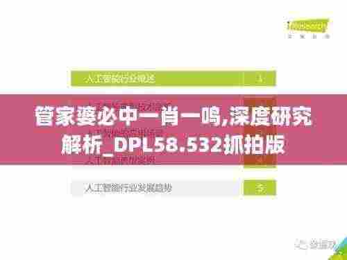 管家婆必中一肖一鸣,深度研究解析_DPL58.532抓拍版