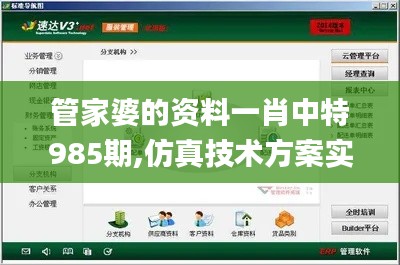 管家婆的资料一肖中特985期,仿真技术方案实现_Prestige47.896-1