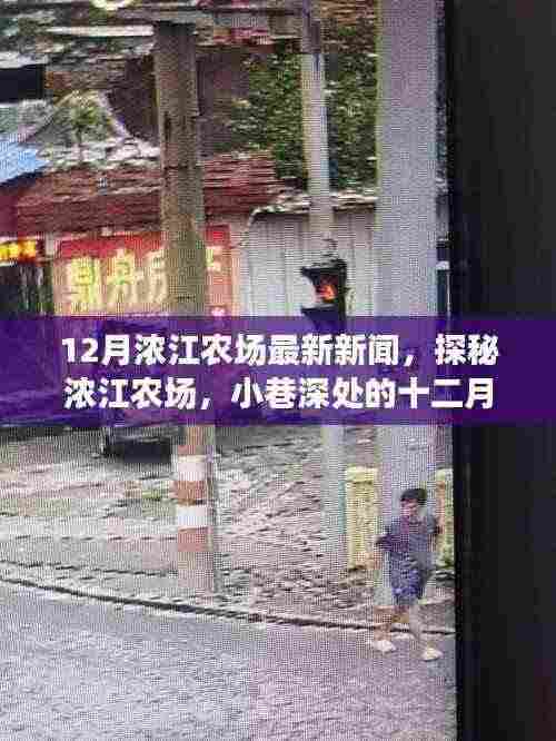 浓江农场十二月惊喜之星,田园小憩最新报道