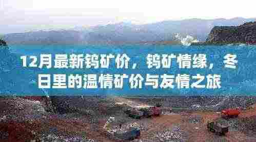 钨矿情缘,十二月最新矿价与冬日温情之旅